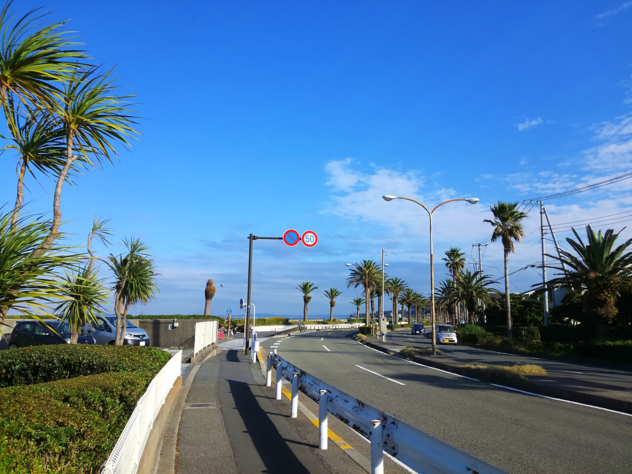 横須賀市　観音崎通り